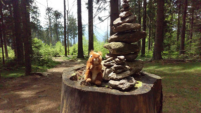 the travelling squirrel on the Osser!