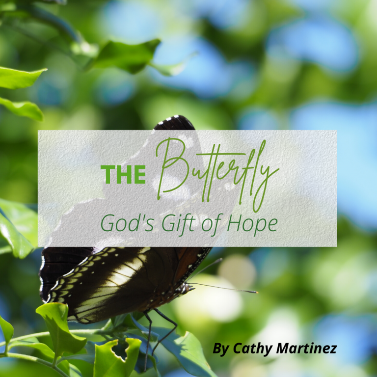 The Butterfly God's Gift of Hope The Warrior Maiden