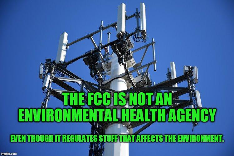 Environmental Health Groups & Petitioners Win Lawsuit Against FCC For