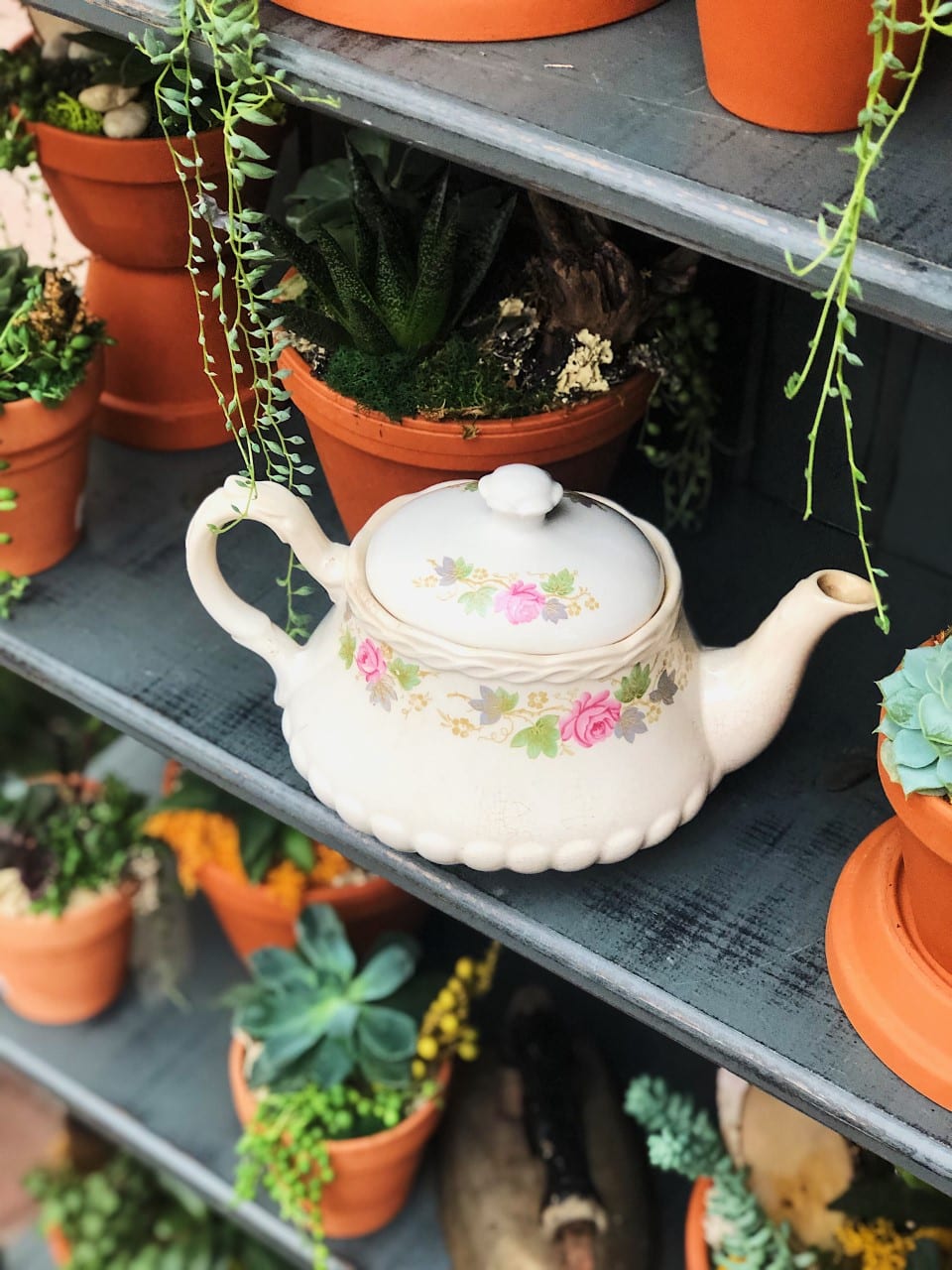 Pastries & Lunch The Watering Can Flower Market