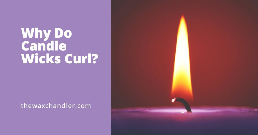 Why Do Candle Wicks Curl (The Good & The Bad) The Wax Chandler