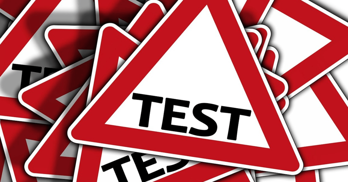 Pension Means Test Are we Testing the Right Means?