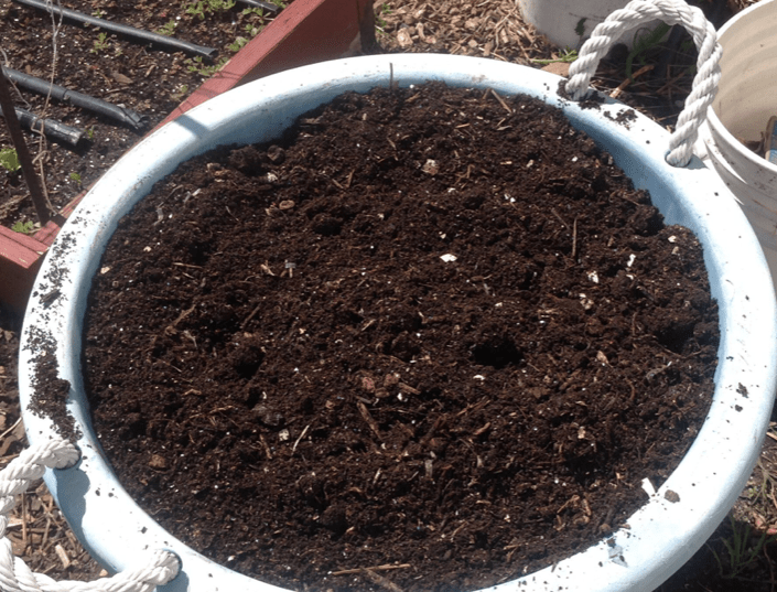 finished compost The Wealthy Earth