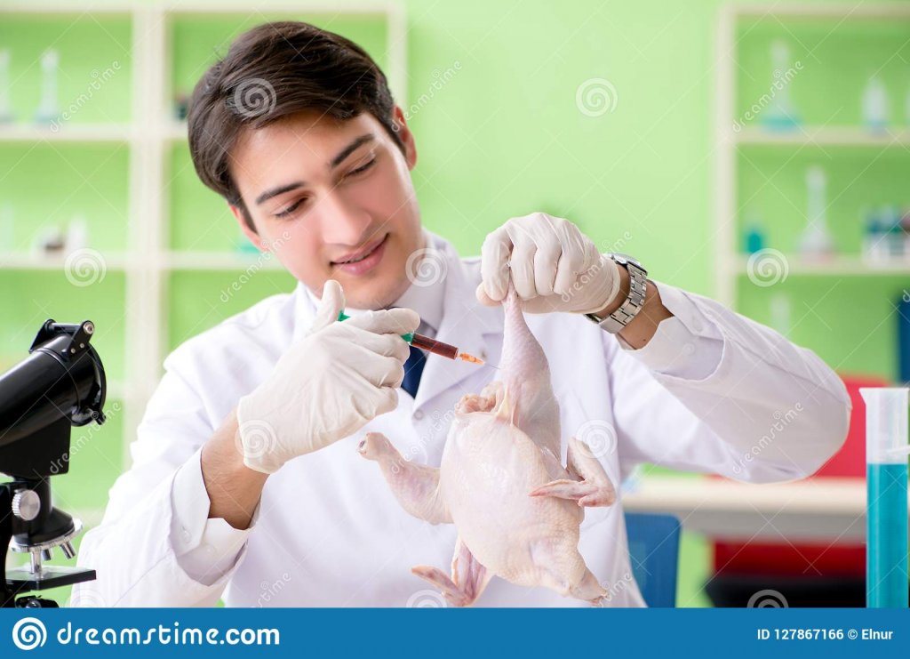 Lab Testing Assistant The Weed Scene