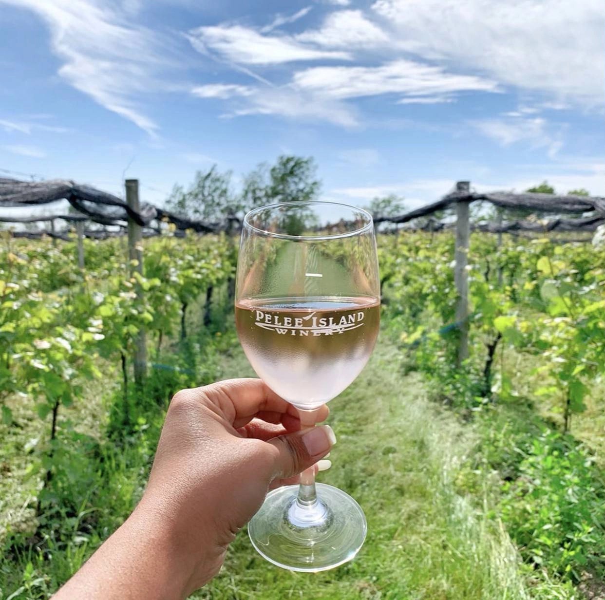 Bicycle Day Trip to Pelee Island TWR