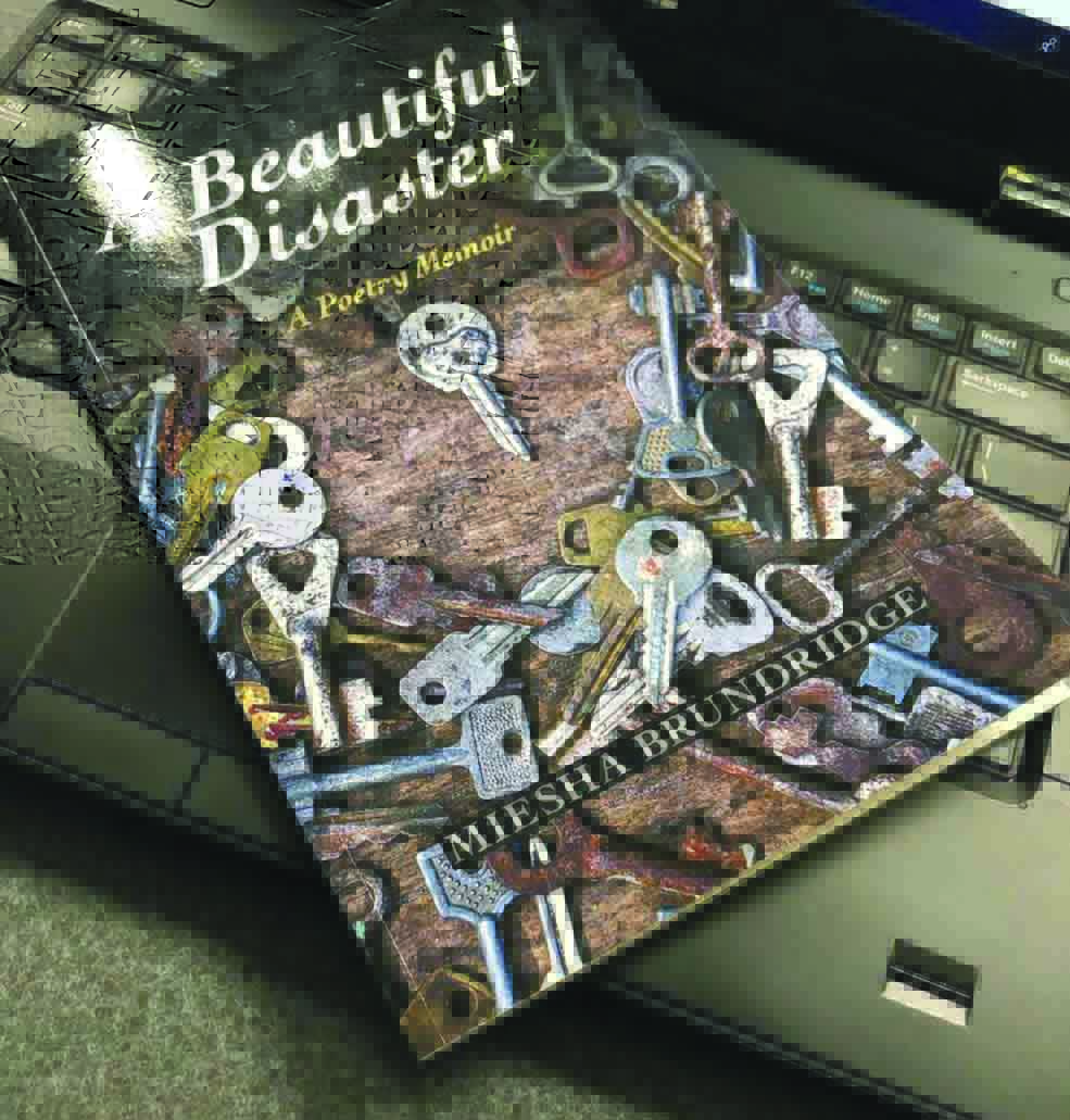 Beautiful Disaster Book Free / Beautiful Disaster A Novel Kindle