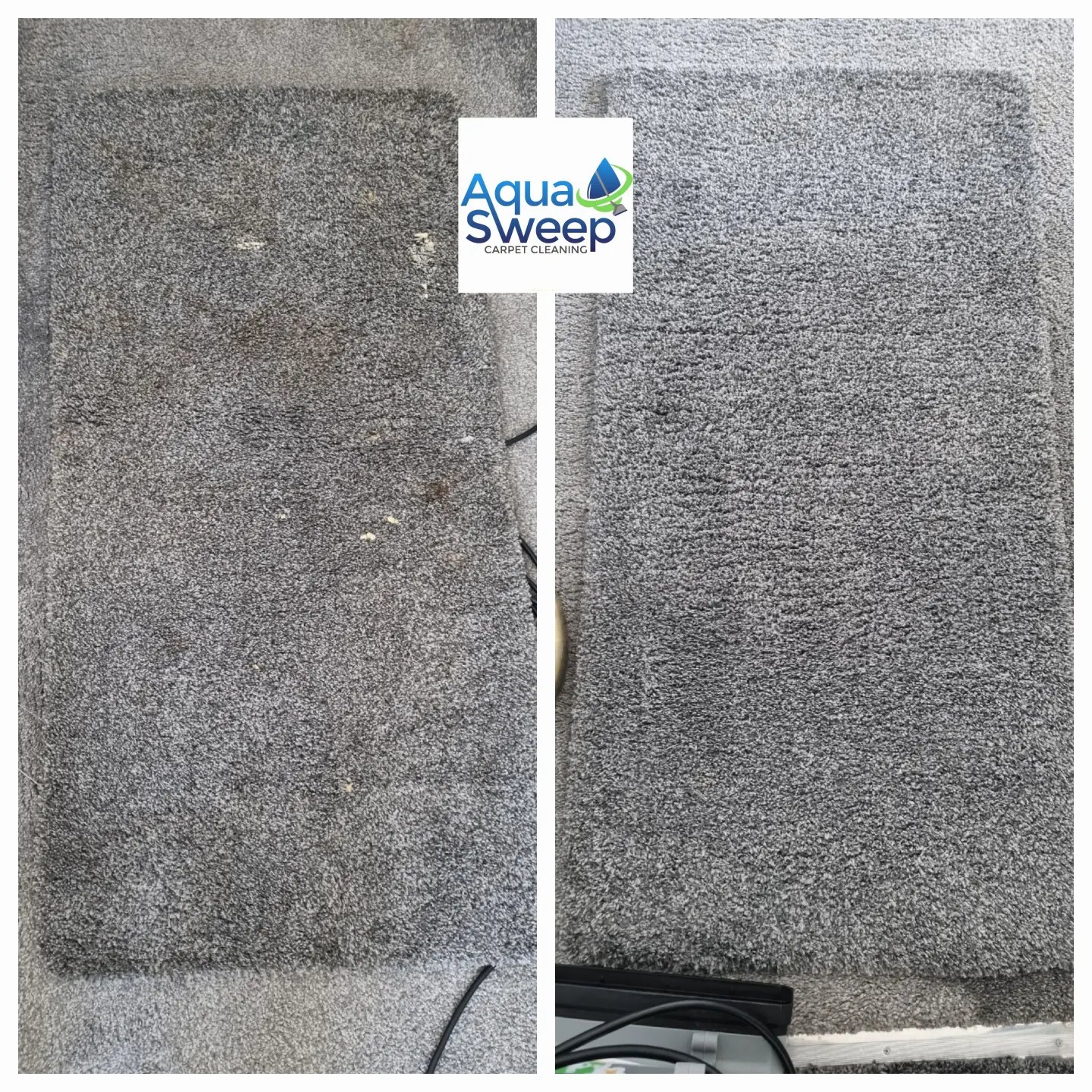 AquaSweep Carpet Cleaning The Wee Mag