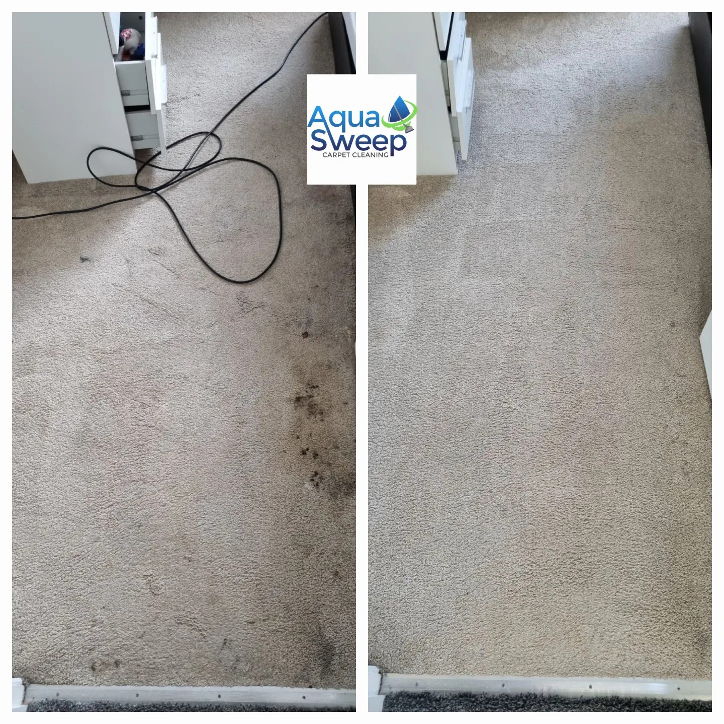 AquaSweep Carpet Cleaning The Wee Mag