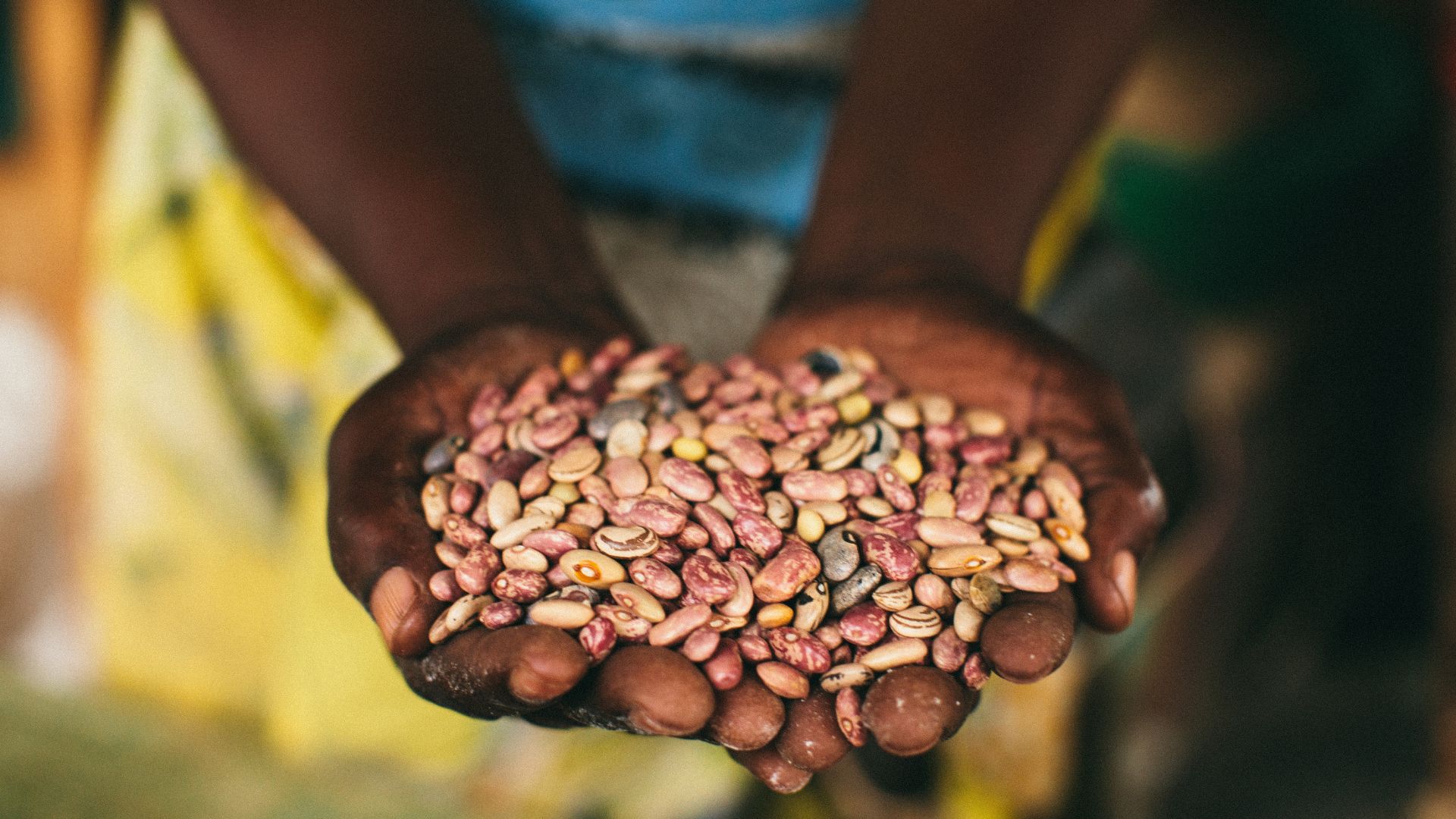 FAQs on Food Insecurity and Education Understanding How They Affect