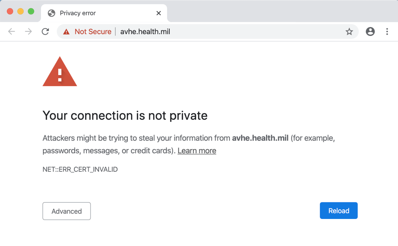 AVHE Access Instructions