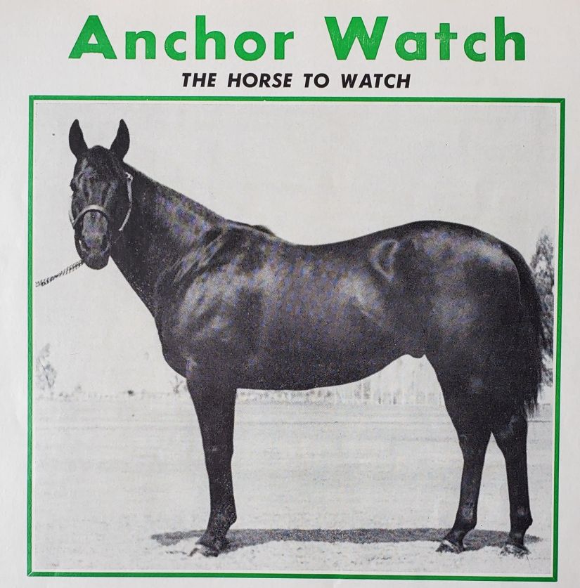 The Western Thoroughbred History Anchor Watch The