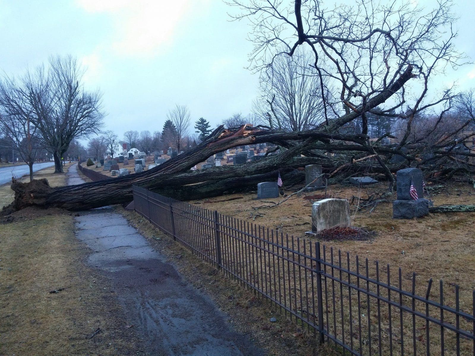 Downed tree forces major clean up in Pine Hill Cemetery The Westfield