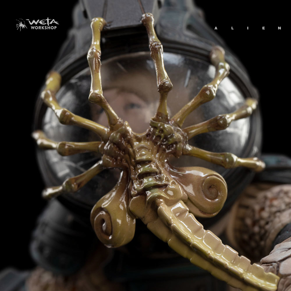 The Museum Alien franchise Facehugger