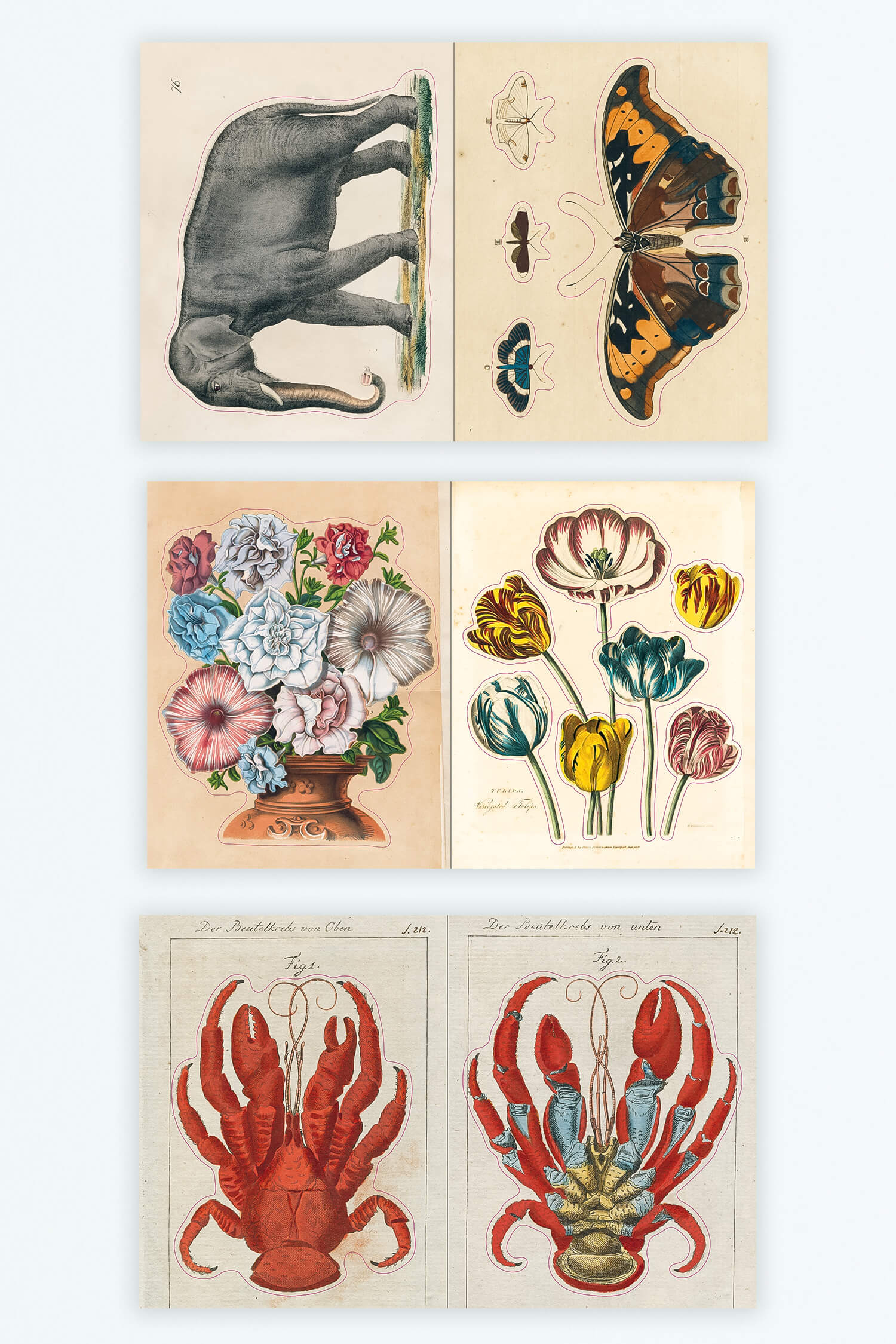 John Derian Sticker Book The Whisper Gallery