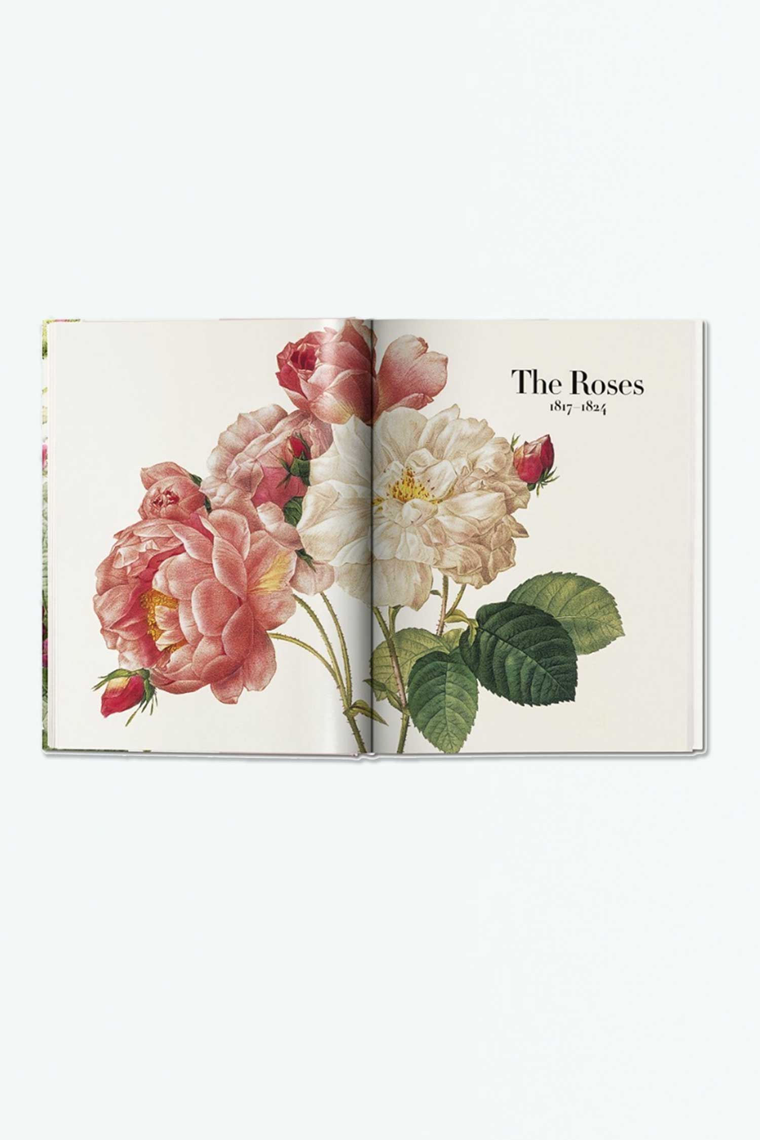 Redouté. The Book of Flowers The Whisper Gallery