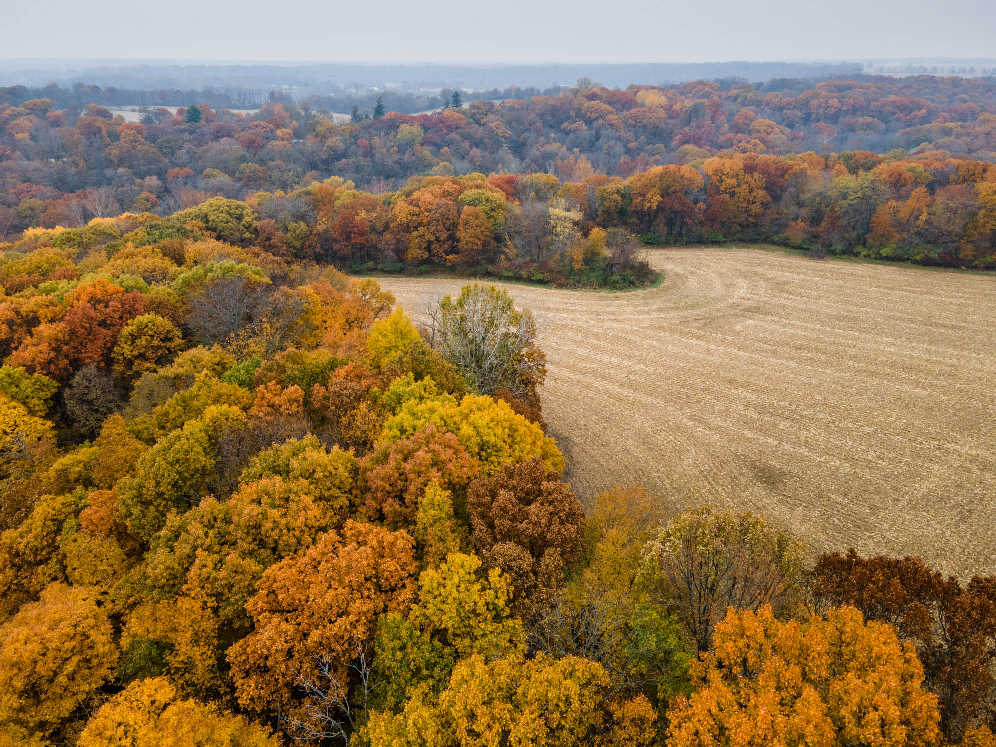 Bureau County, IL 331 Acres The Whitetail Group