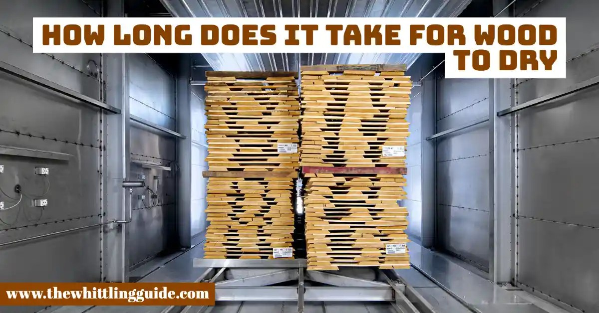How Long Does It Take For Wood To Dry? The Whittling Guide