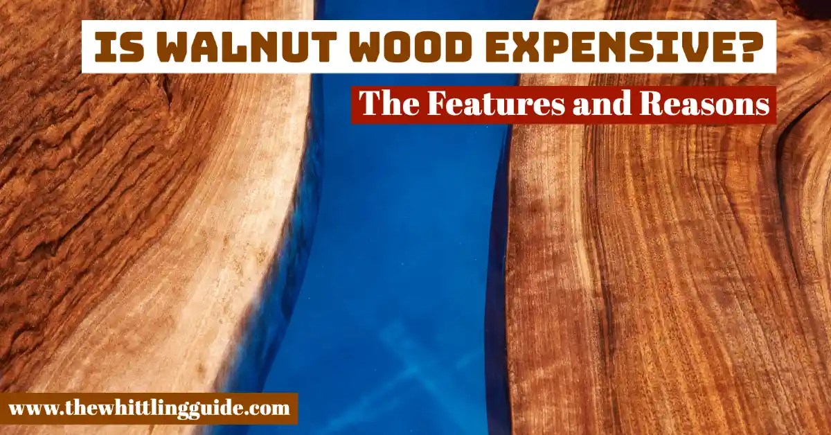 Is Walnut Wood Expensive? The Features And Reasons The Whittling Guide