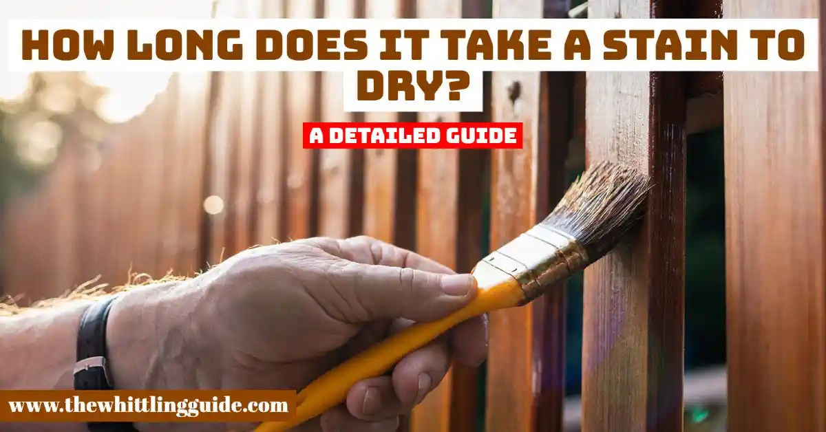 How Long Does It Take A Stain To Dry? A Detailed Guide The