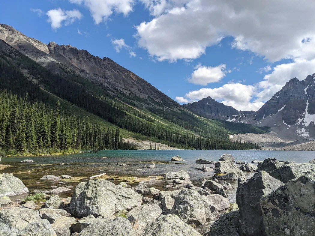 20+ Best Easy Hikes In Banff To Enjoy This Year The Wild Trek