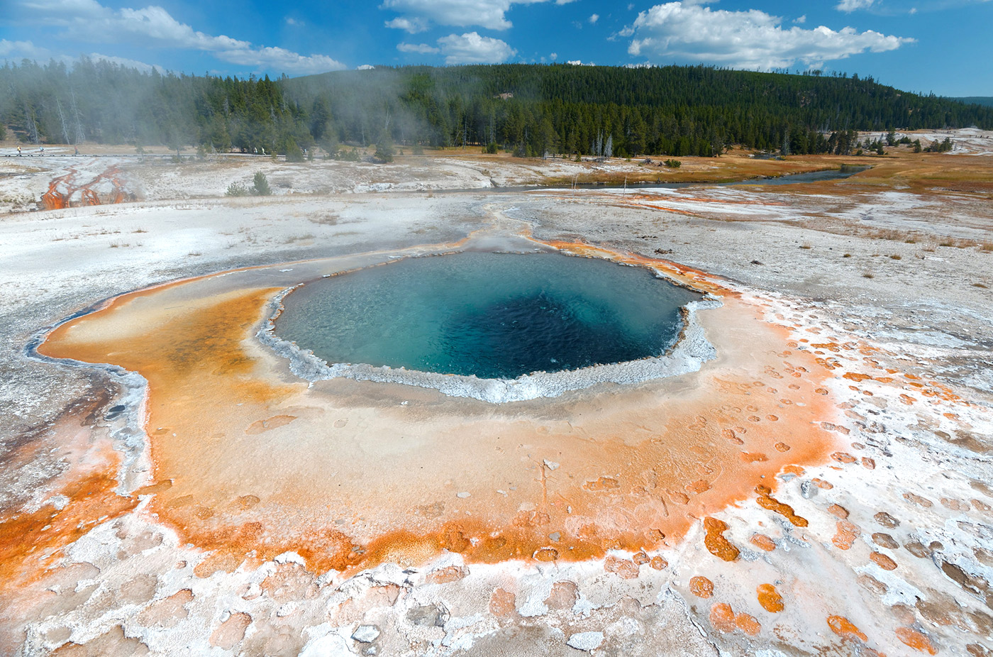 11+ Hot Springs In Yellowstone You Won't Want To Miss The Wild Trek