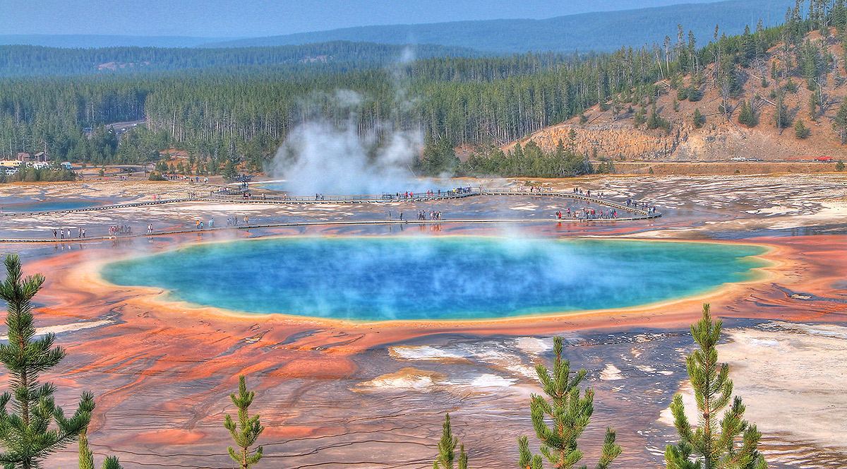 11+ Hot Springs In Yellowstone You Won't Want To Miss The Wild Trek