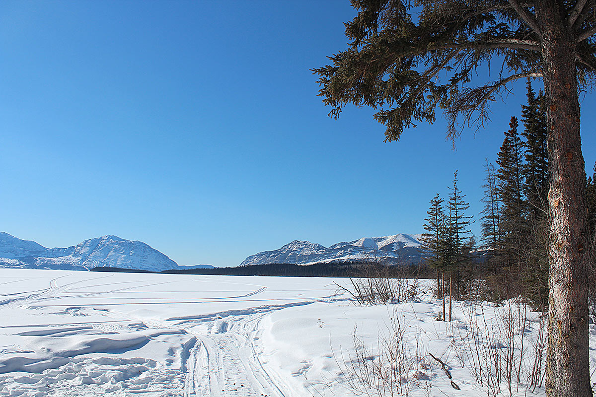 Fort Simpson NWT & areaStay at Janor guest house or The Willows Inn