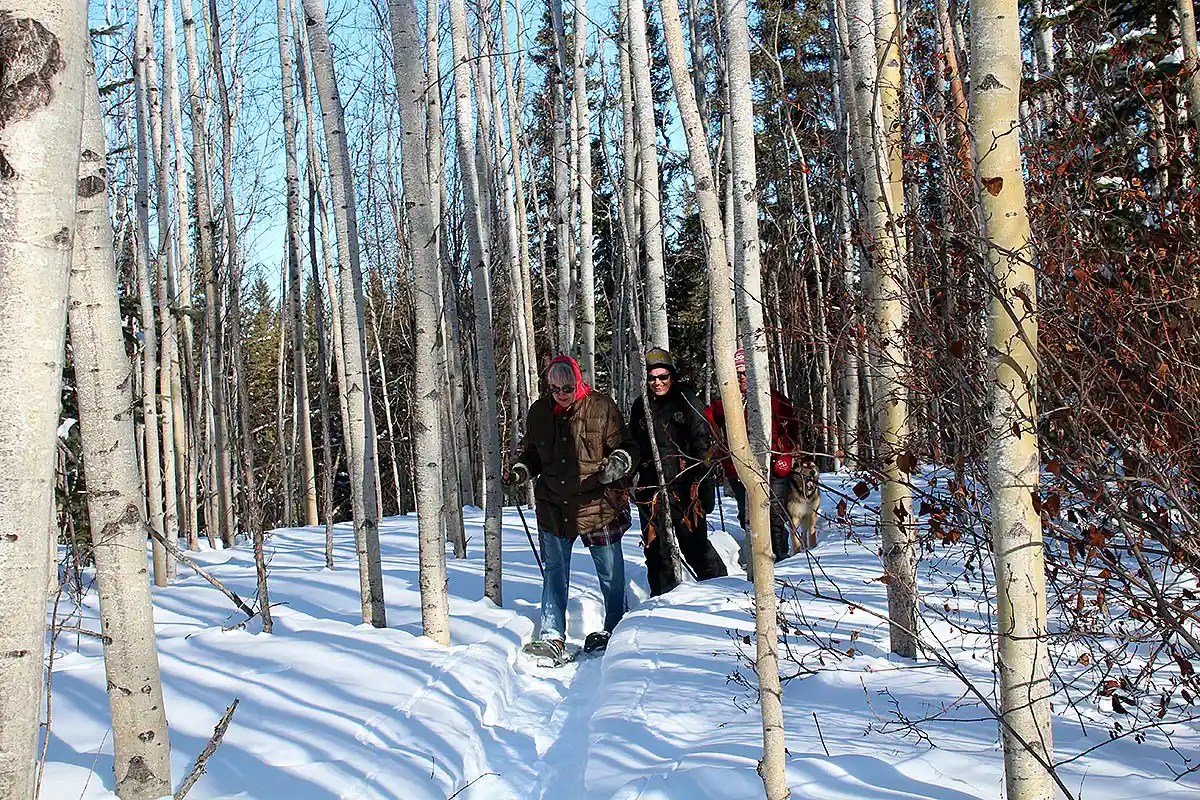 Fort Simpson NWT & areaStay at Janor guest house or The Willows Inn