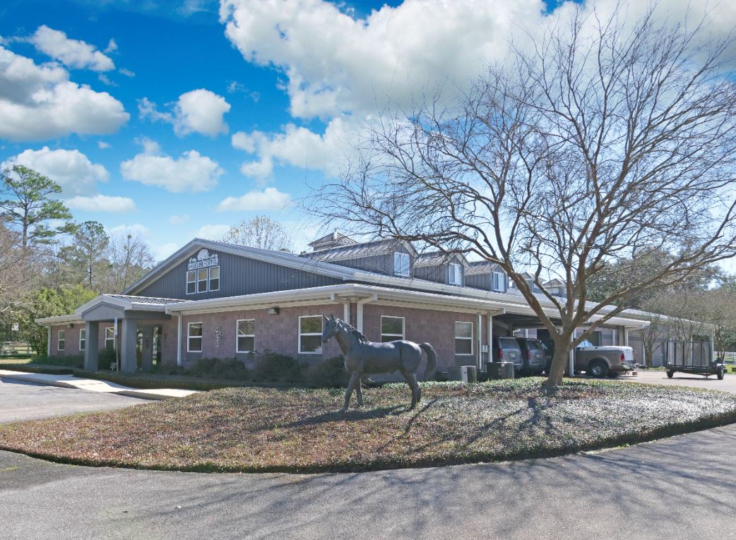 AVS Equine Hospital The Wine Group