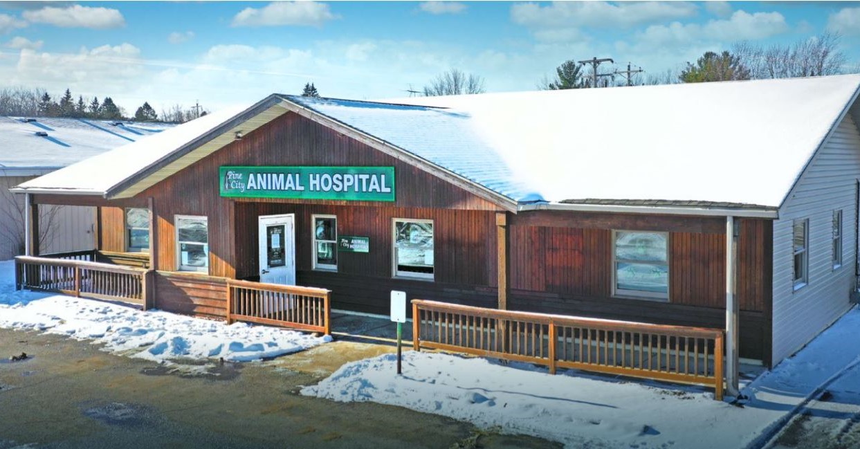 Pine City Animal Hospital The Wine Group