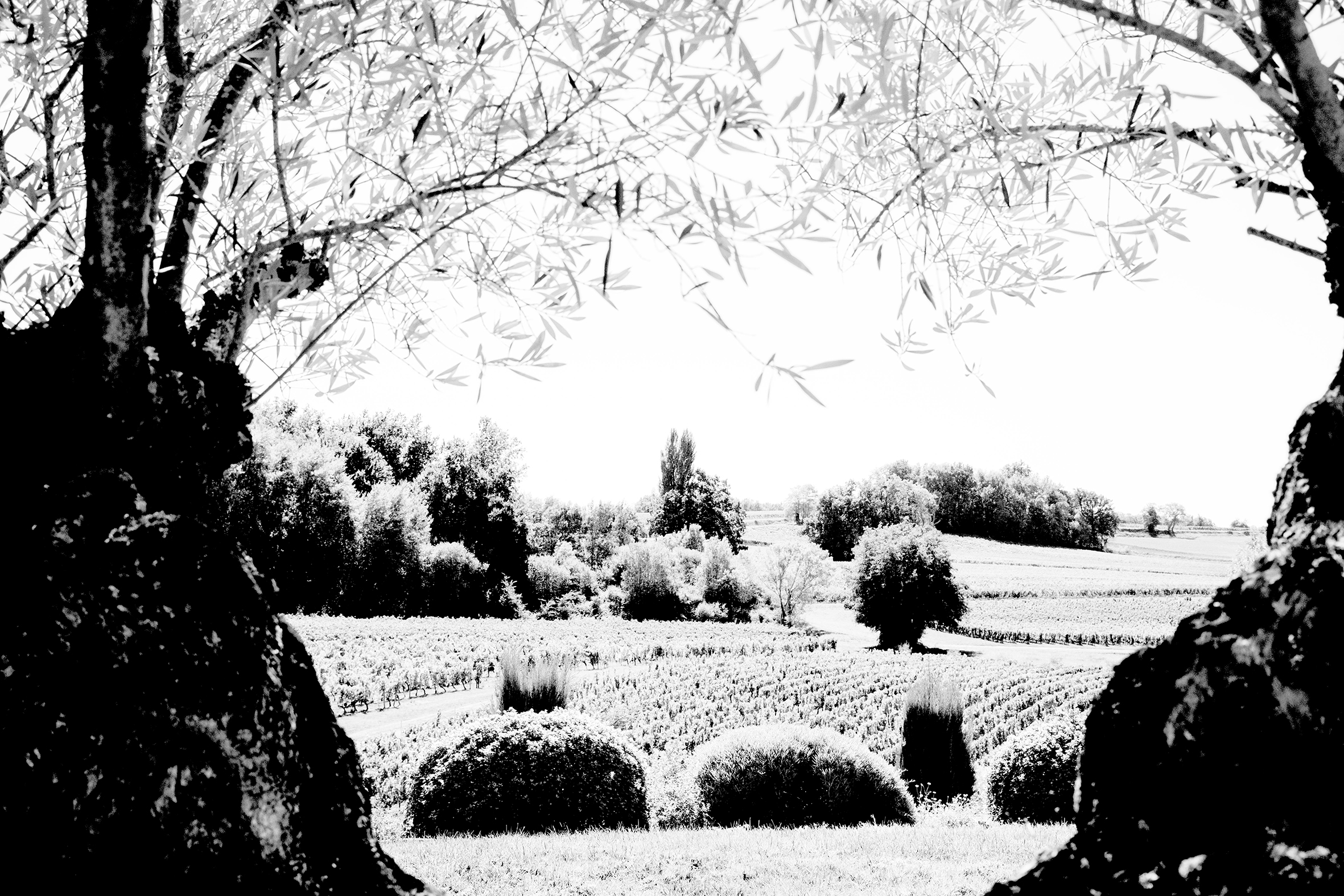 SaintÉlites SaintÉmilion Satellites