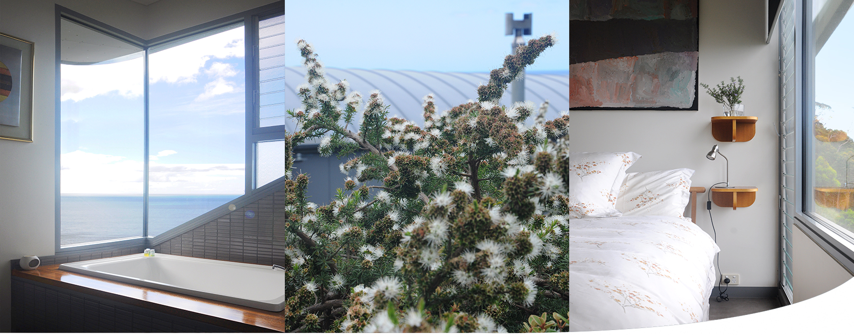 The House The Winged House