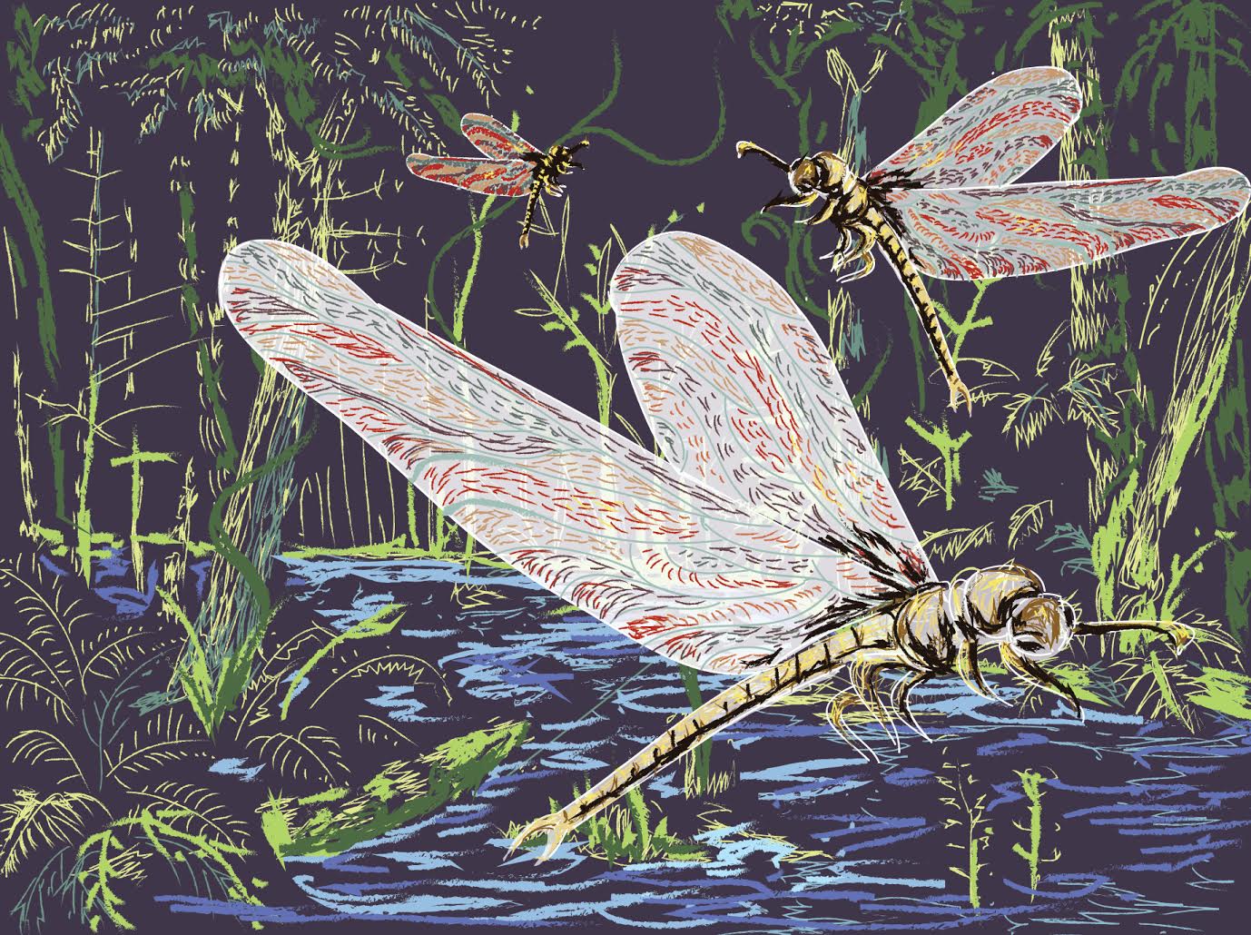 Carboniferous Dragonfly