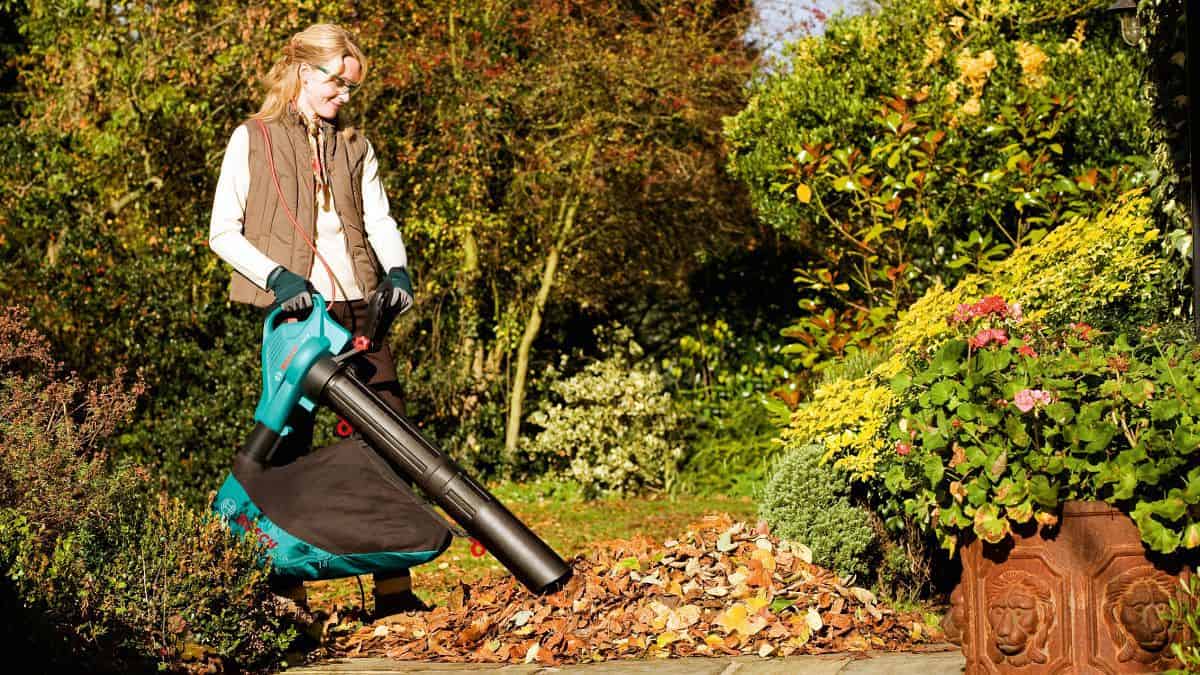 Ultimate Review Of Best Leaf Blowers And Mulchers In 2023 The