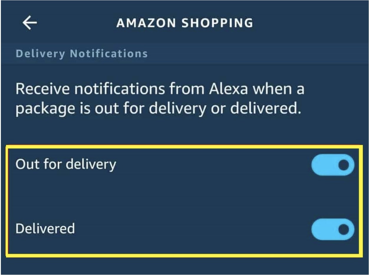 Why is My Alexa Yellow? All The Explanations The