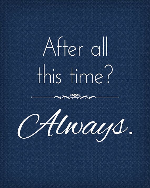 The Wizarding World Harry Potter Fan Forum