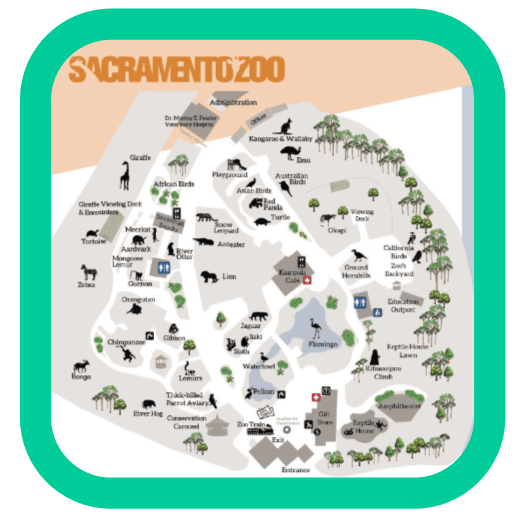 ZOO REVIEW 2 Sacramento Zoo The WOLFe Pack