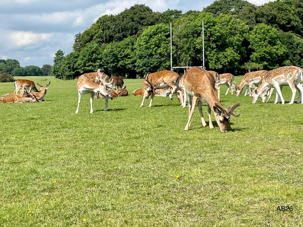 Day 17 In Collaboration with Mr Paul Brookes Ekphrastic Poetry Challenge 2023 The Wombwell