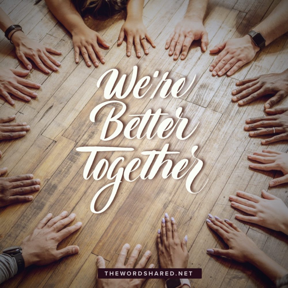 Portfolio The Word Shared