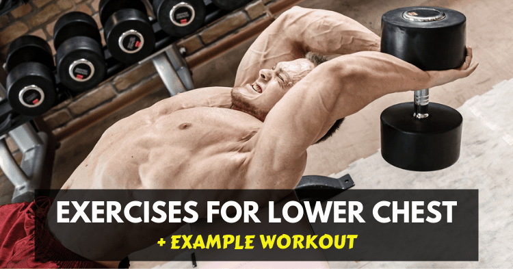 8 best exercises for a bigger chest with dumbbells Wellness Way Of Life