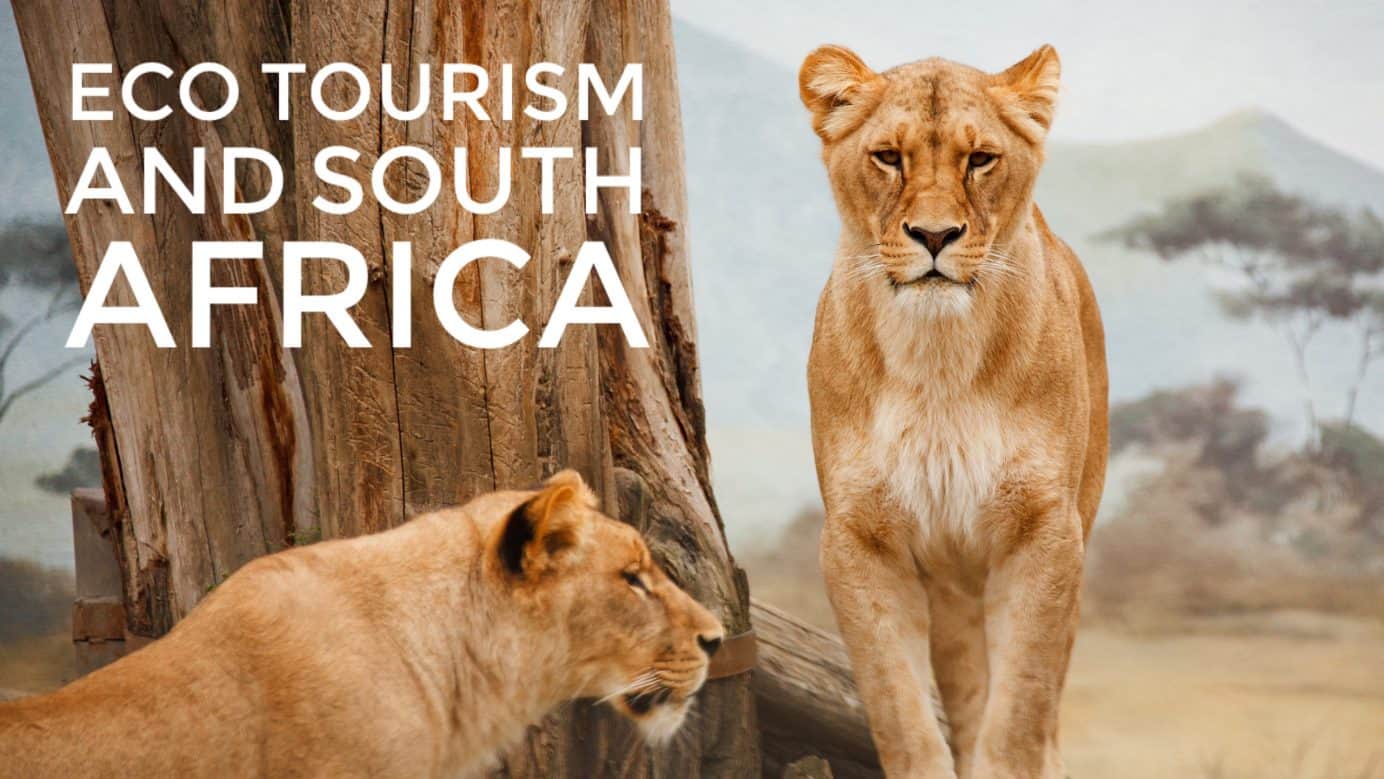 Gondwana Eco Camp • EcoTourism in South Africa Done Right