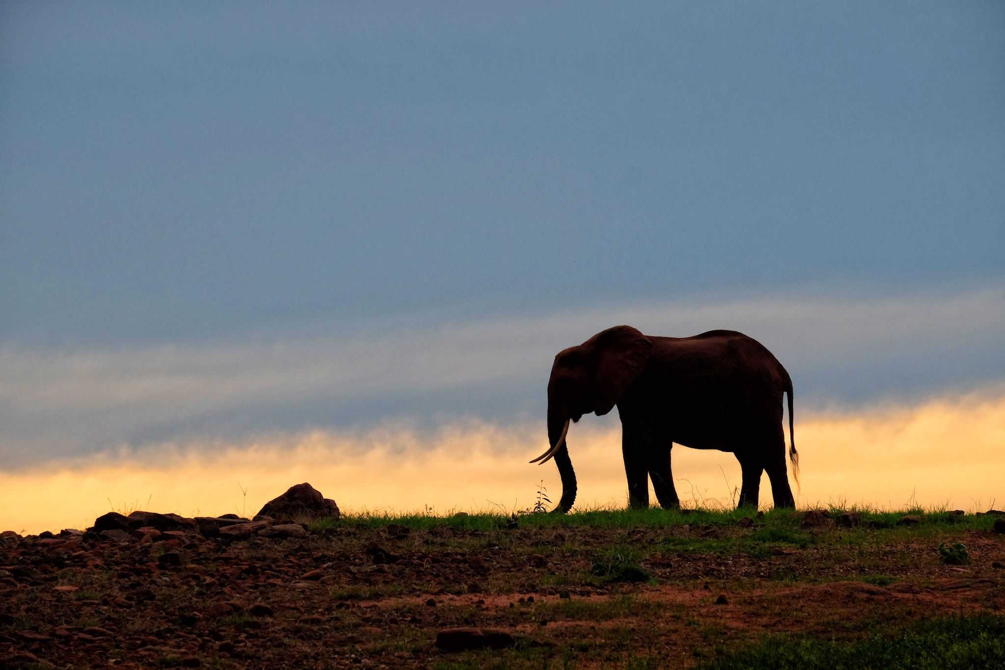 How Much Is A Trip To Africa? Why Is It Expensive?