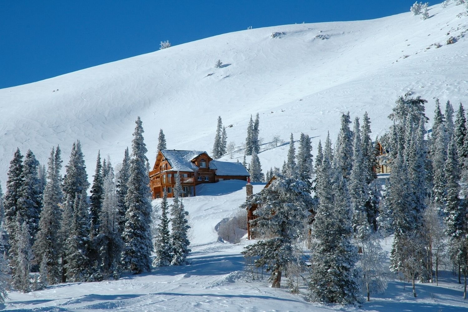 Best Salt Lake City Ski Resorts Complete Ski Bum Travel Guide