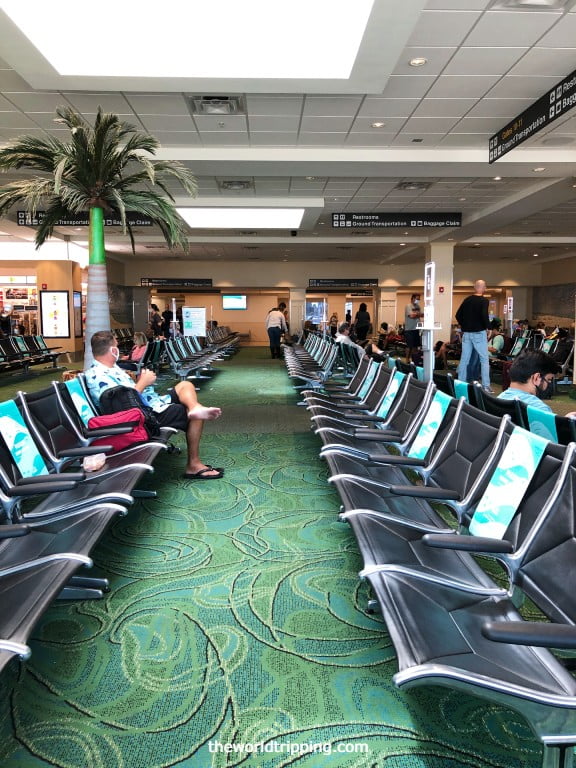 Allegiant Air Reviews Why Is Allegiant Air So Cheap? Is Allegiant Safe