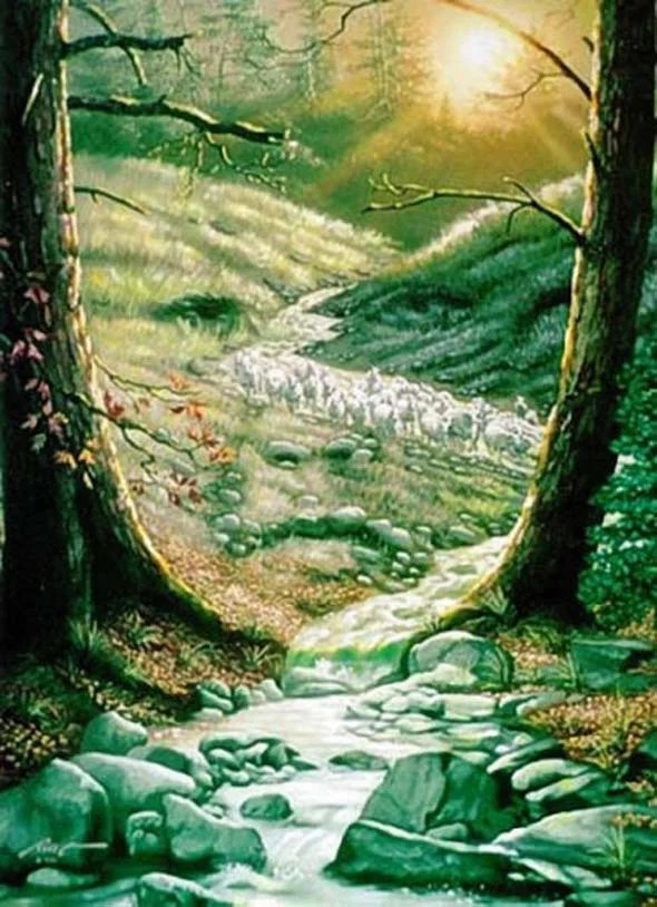 50 Best Illusion Pictures And Wallpapers The WoW Style