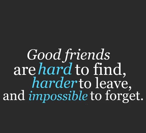 27 Best Friend Quotes with Images The WoW Style
