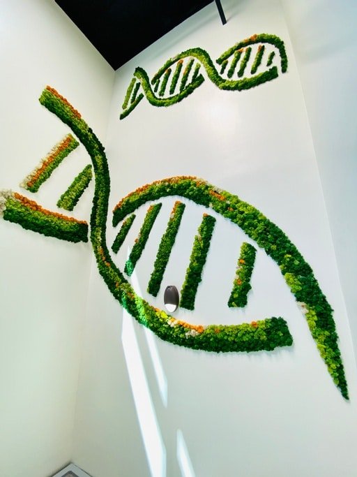 Moss Art Walls in San Francisco CA & Nearby Communities