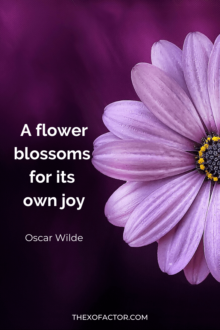 36 Beautiful Spring Quotes The XO Factor