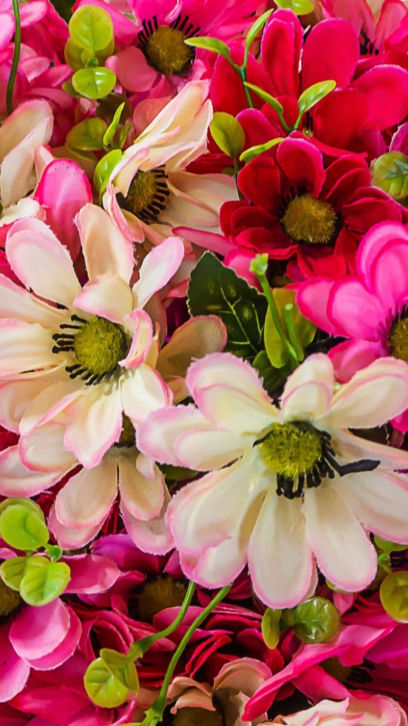 100 Free Flower Wallpapers For Phones The XO Factor