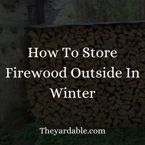 How To Store Firewood Outside In Winter Theyardable